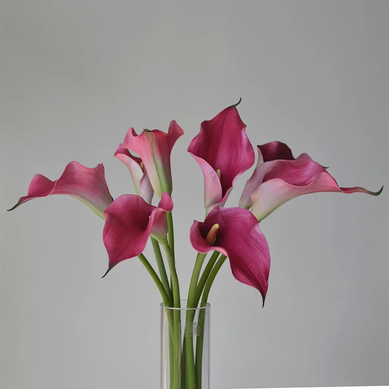 5 Large Calla Lily Flowers