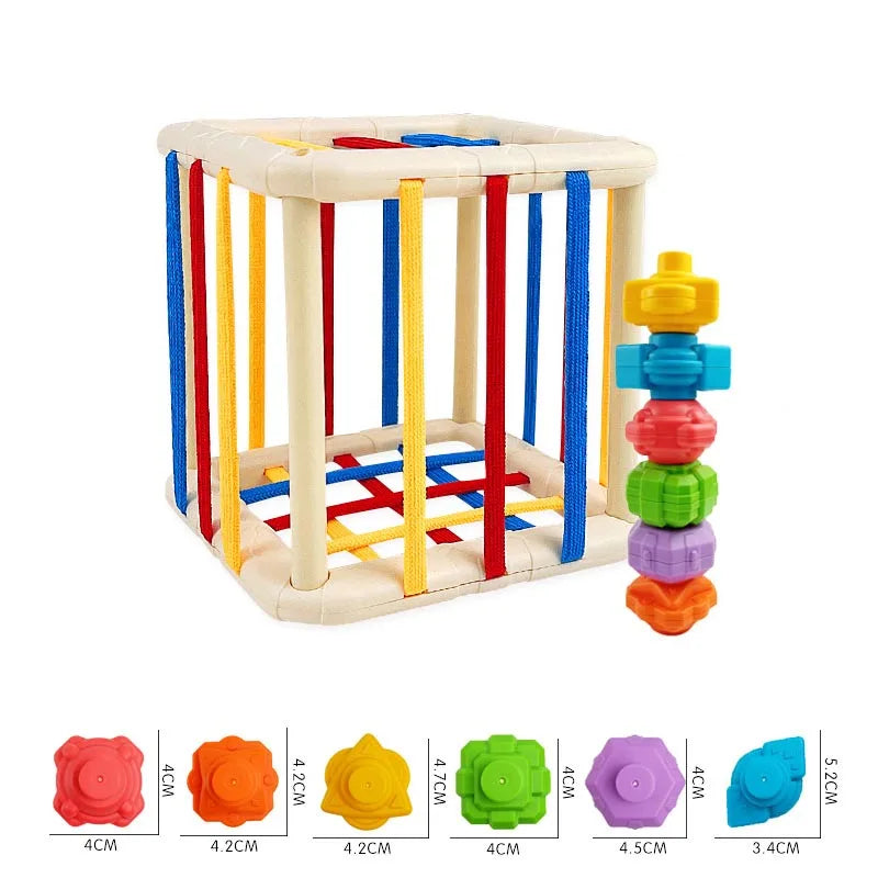 49717909586209
