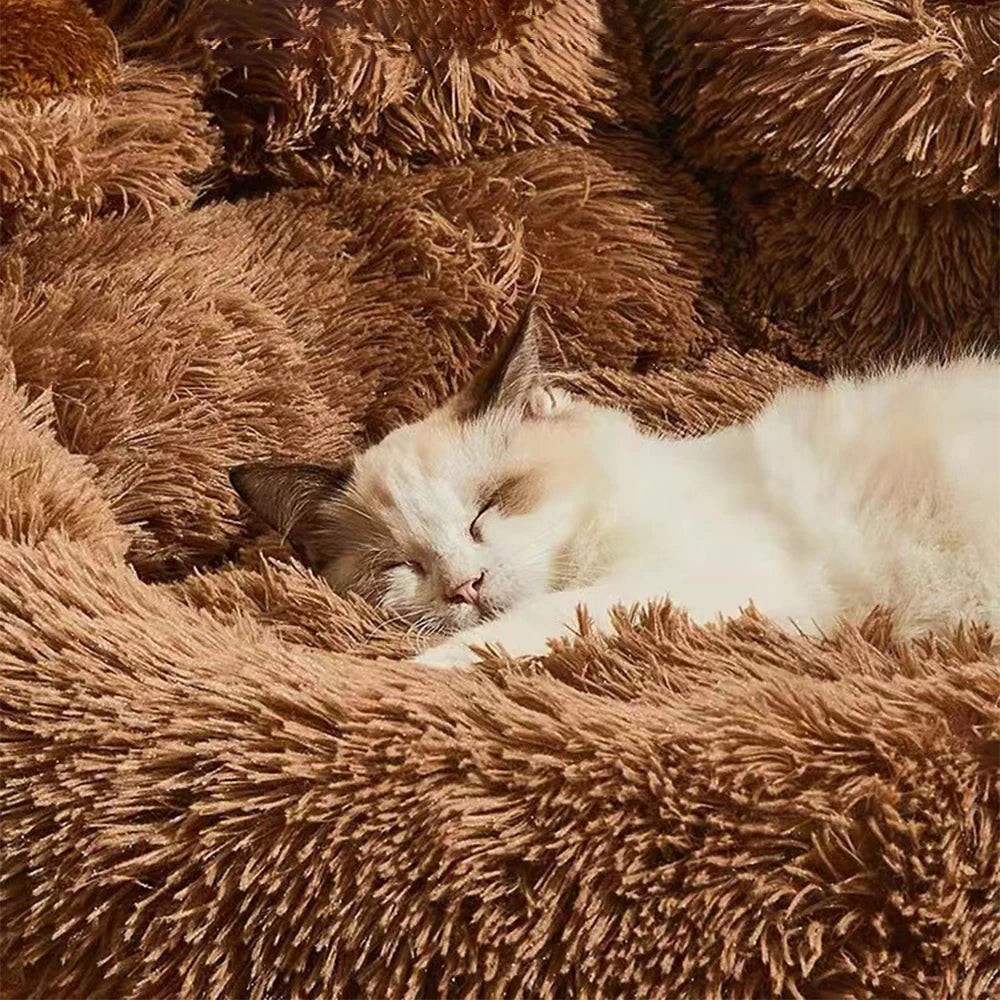 Plush Dog Sofa Bed