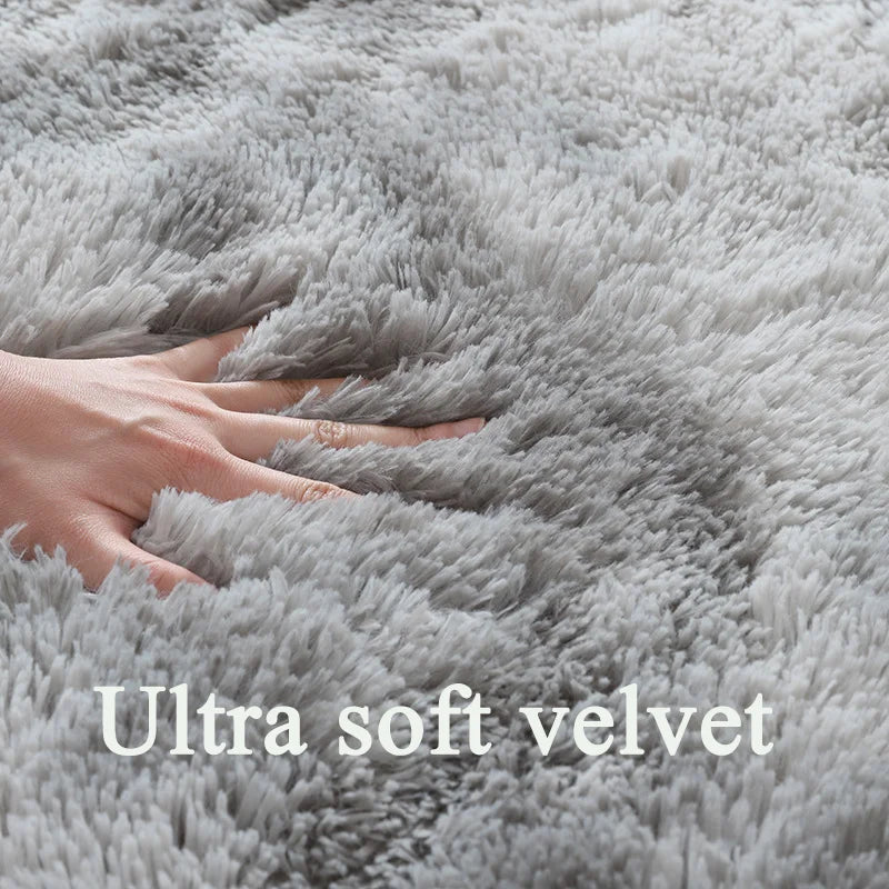 Fluffy Nordic Style Carpet