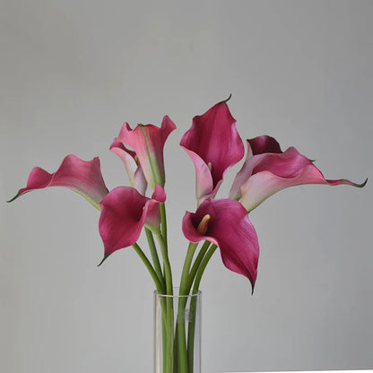 5 Large Calla Lily Flowers