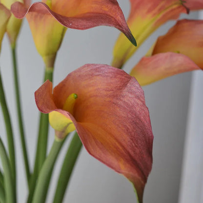 5 Large Calla Lily Flowers