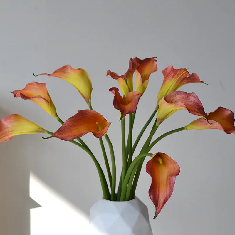 5 Large Calla Lily Flowers