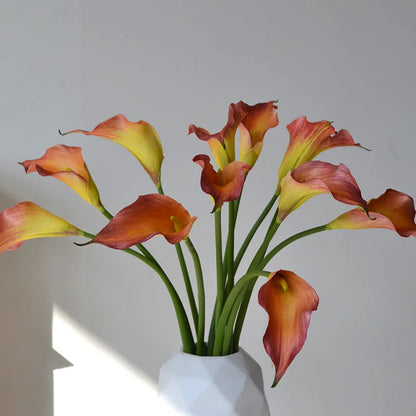 5 Large Calla Lily Flowers